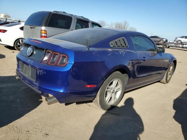 2014 Ford Mustang