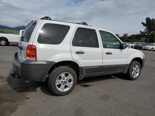 2007 Ford Escape XLT