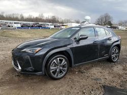 Salvage cars for sale from Copart Hillsborough, NJ: 2020 Lexus UX 250H