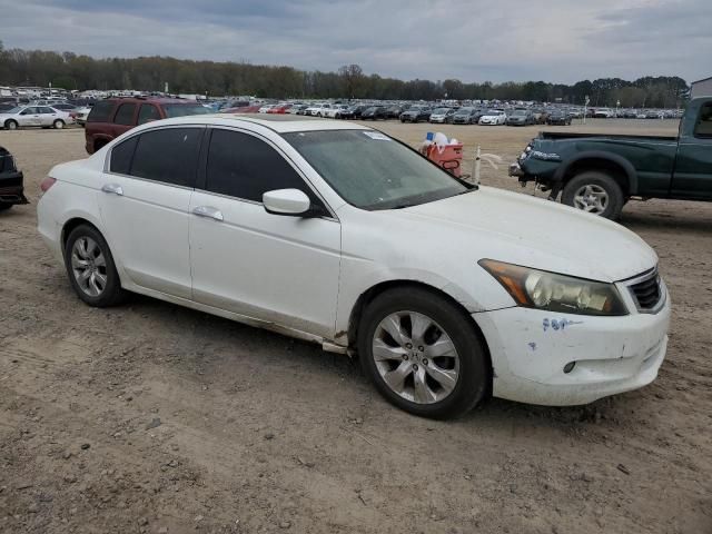 2008 Honda Accord EXL