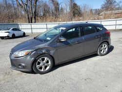 Salvage cars for sale from Copart Albany, NY: 2014 Ford Focus SE