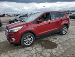 Salvage cars for sale at Indianapolis, IN auction: 2017 Ford Escape SE