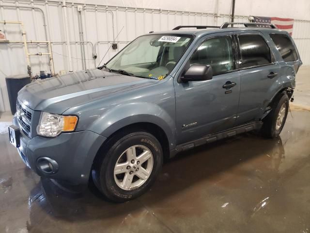 2010 Ford Escape Hybrid