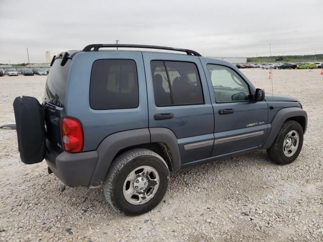 2002 Jeep Liberty Sport