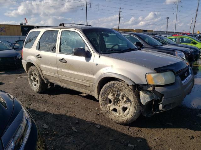 2001 Ford Escape XLT