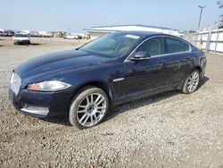 Salvage cars for sale at San Diego, CA auction: 2014 Jaguar XF