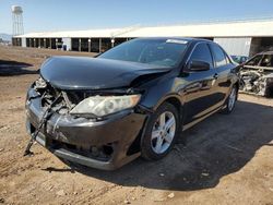 Salvage cars for sale from Copart Phoenix, AZ: 2014 Toyota Camry L