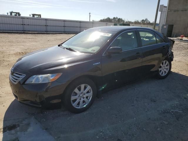 2007 Toyota Camry Hybrid