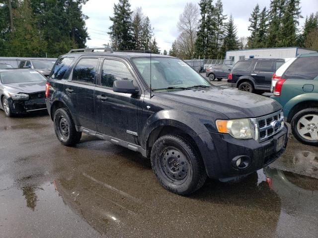 2008 Ford Escape XLT