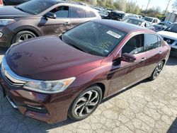 Salvage cars for sale at Bridgeton, MO auction: 2017 Honda Accord EXL