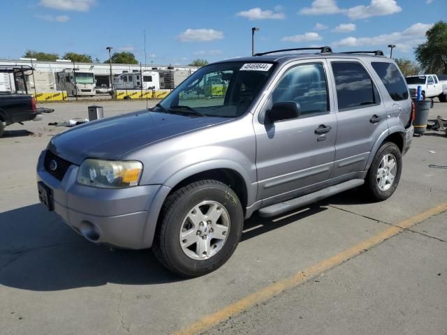 2007 Ford Escape XLT