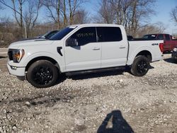 Salvage cars for sale at Cicero, IN auction: 2023 Ford F150 Supercrew