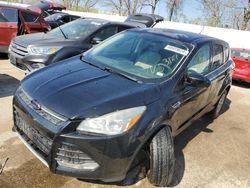 Salvage cars for sale at Bridgeton, MO auction: 2014 Ford Escape SE