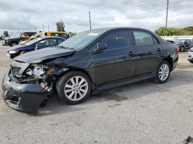 2010 Toyota Corolla Base