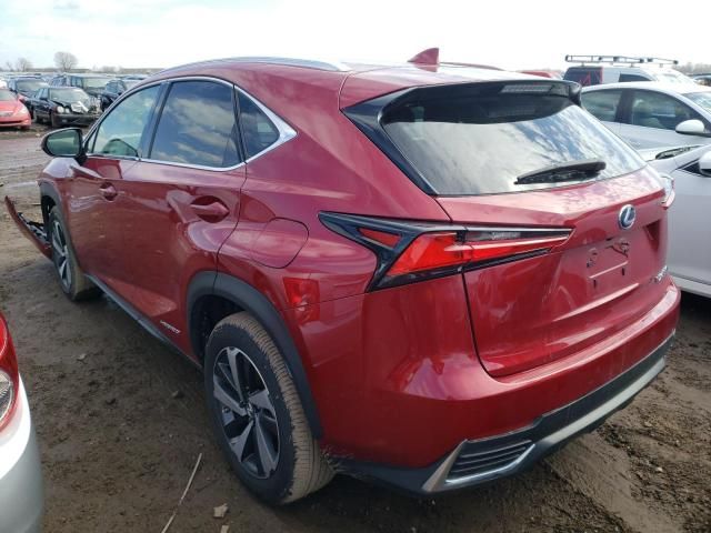 2020 Lexus NX 300H