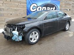 Salvage cars for sale from Copart Blaine, MN: 2020 Chevrolet Malibu LS
