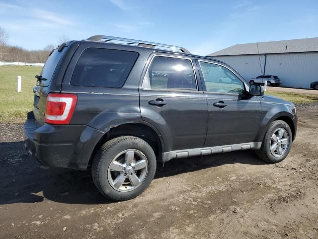 2011 Ford Escape Limited