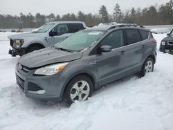 Salvage cars for sale from Copart Windham, ME: 2014 Ford Escape SE