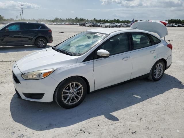 2016 Ford Focus SE