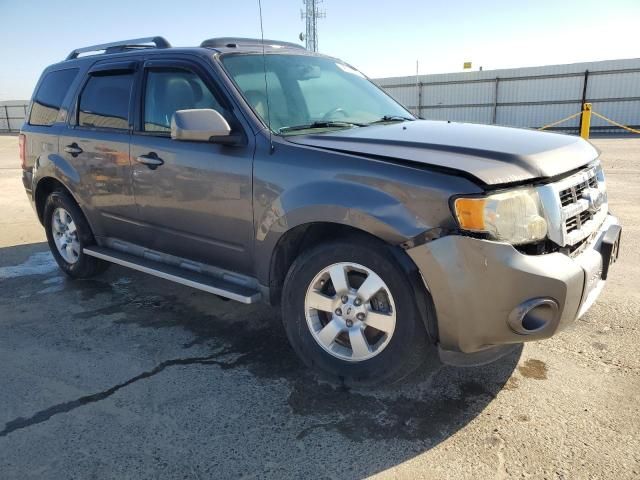 2010 Ford Escape Limited