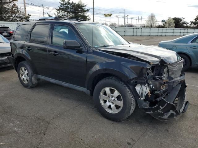 2010 Ford Escape Limited