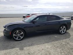 Salvage cars for sale at Adelanto, CA auction: 2017 Dodge Charger R/T