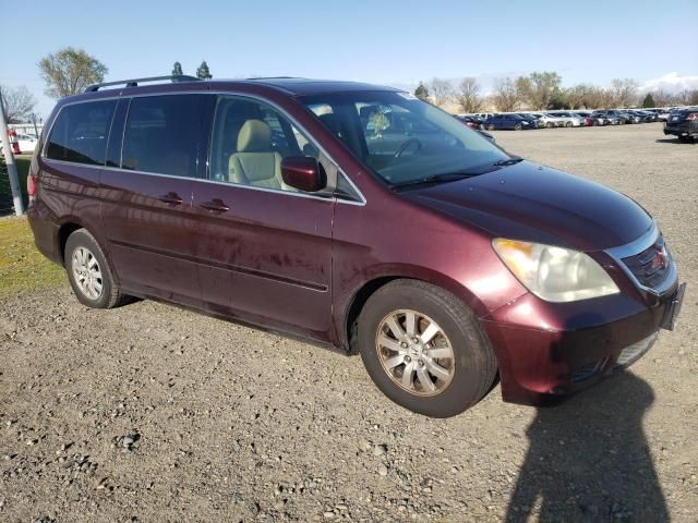 2008 Honda Odyssey EXL