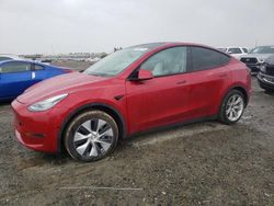 Salvage cars for sale at Antelope, CA auction: 2020 Tesla Model Y