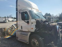 Freightliner salvage cars for sale: 2015 Freightliner Cascadia 113