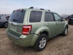 2008 Ford Escape HEV