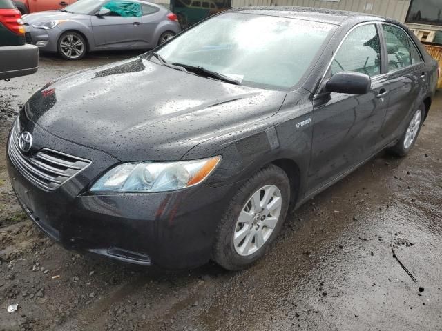 2009 Toyota Camry Hybrid