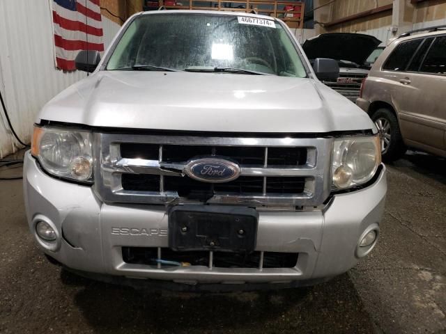 2008 Ford Escape XLT