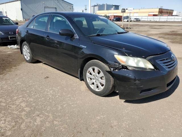 2009 Toyota Camry Hybrid