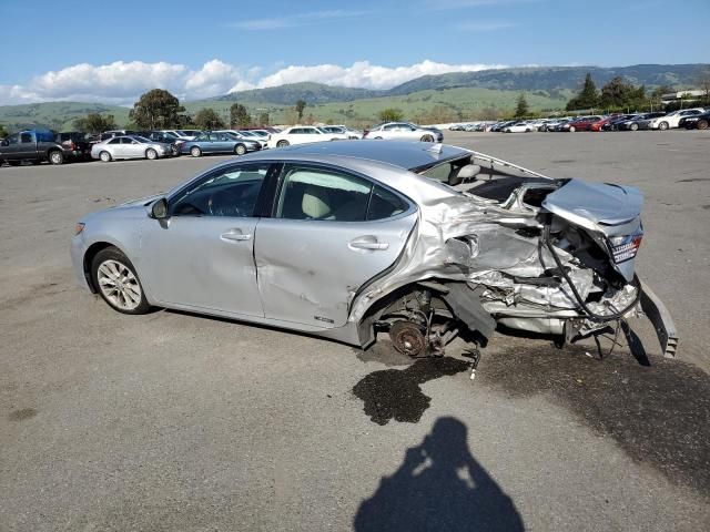 2014 Lexus ES 300H