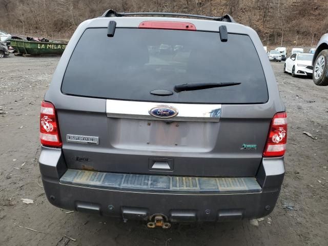 2011 Ford Escape Limited