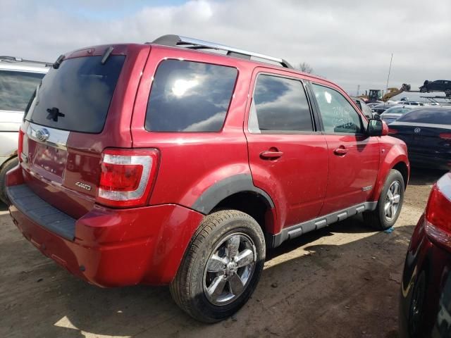 2008 Ford Escape Limited