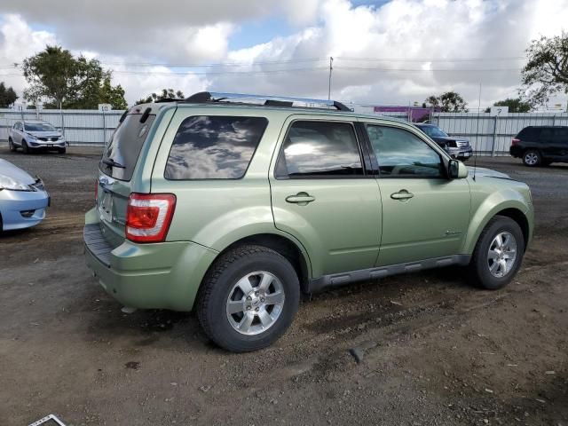 2010 Ford Escape Hybrid