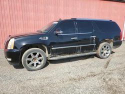 Salvage cars for sale from Copart Ontario Auction, ON: 2007 Cadillac Escalade ESV