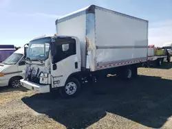 Salvage trucks for sale at Sacramento, CA auction: 2023 Isuzu NPR HD