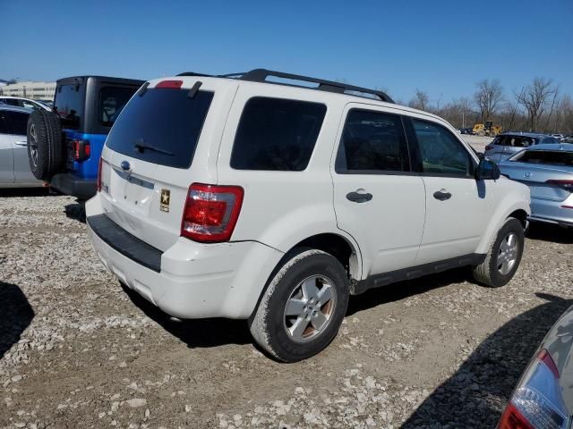 2009 Ford Escape XLT