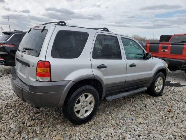 2006 Ford Escape XLT