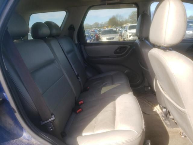 2007 Ford Escape XLT