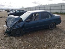 Salvage cars for sale from Copart Anderson, CA: 1998 Toyota Corolla VE