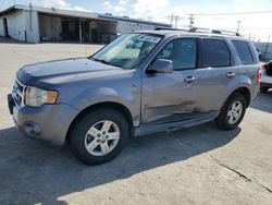 Ford Escape HEV salvage cars for sale: 2008 Ford Escape HEV