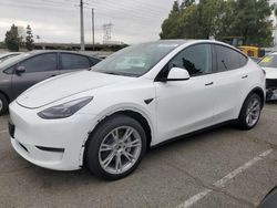 Salvage cars for sale at Rancho Cucamonga, CA auction: 2023 Tesla Model Y