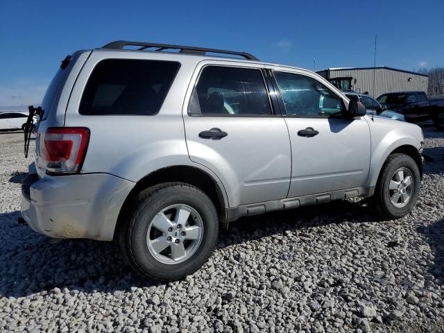 2009 Ford Escape XLT