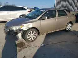 Salvage cars for sale at Lawrenceburg, KY auction: 2009 Toyota Corolla Base