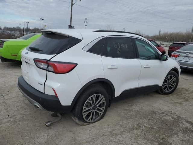 2020 Ford Escape SEL