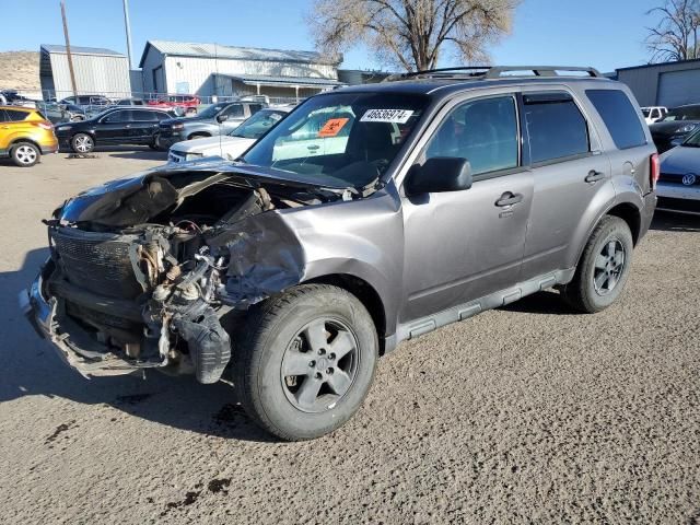 2011 Ford Escape XLT