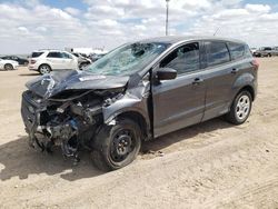 Salvage cars for sale from Copart Amarillo, TX: 2019 Ford Escape S